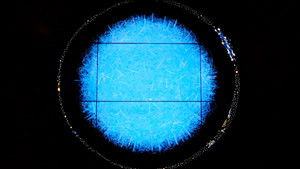 Poster for 05/12/2015