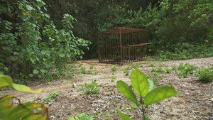 Poster for Episode 36