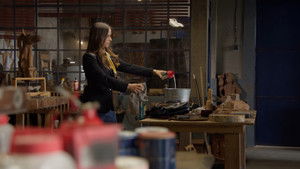 Poster for Episode 229 Poster for Episode 229