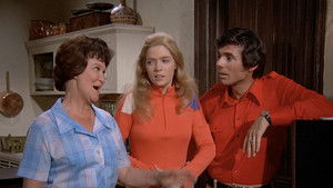 Poster for The Newlyweds