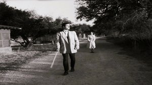 Poster for Even Stones Have Eyes