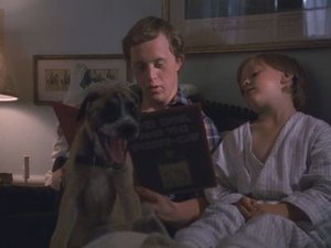Poster for The Baby-Sitter