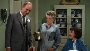 Poster for Aunt Bee's Cousin