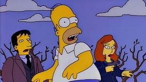 Poster for The Springfield Files