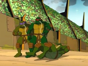 Poster for Turtles in Space (4): The Arena