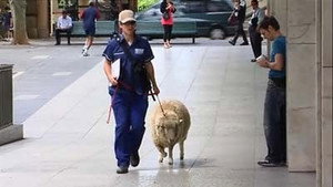 Poster for Episode 45