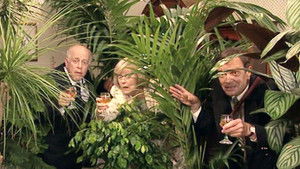 Poster for A Celebrity for the Barbecue