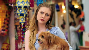 Poster for Emily Adopts a Puppy