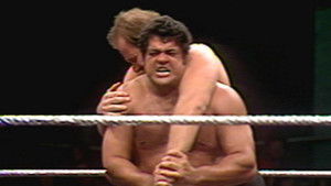 Poster for WWF Championship Wrestling - Jan 17, 1981 Poster for WWF Championship Wrestling - Jan 17, 1981