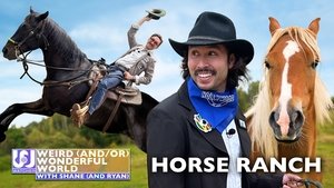 Poster for Shane & Ryan Visit A Hollywood Horse Ranch