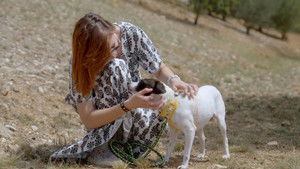 Poster for Episode 1