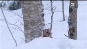 Poster for Episode 6 Poster for Episode 6