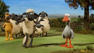 Poster for Sheep Sheep Goose