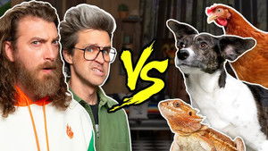 Poster for Man vs. Beast Poster for Man vs. Beast