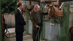 Poster for The Gift Horse
