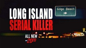 Poster for Long Island Serial Killer