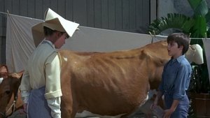 Poster for The Moo is Blue