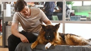 Poster for Episode 13 Poster for Episode 13