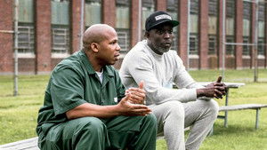 Poster for Raised in the System