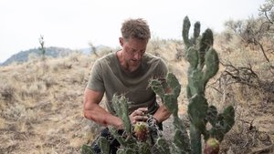 Poster for No Man's Land