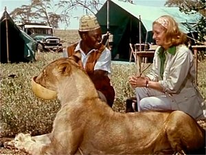 Poster for The Devil Leopard