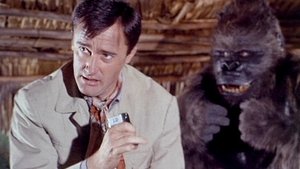 Poster for The My Friend, the Gorilla Affair