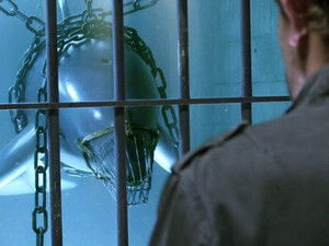 Poster for Dolphinnegan's Wake Poster for Dolphinnegan's Wake