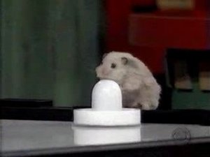 Poster for He's Not Heavy, He's My Hamster