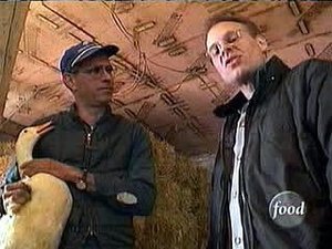 Poster for What's Up, Duck?