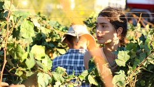 Poster for Los Rivales (Rivals)