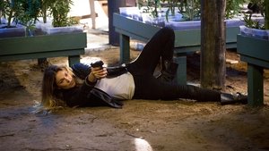 Poster for Pizza Box