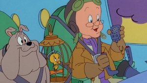 Poster for Venice, Anyone? Poster for Venice, Anyone?