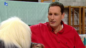 Poster for Het verkeerslicht Poster for Het verkeerslicht