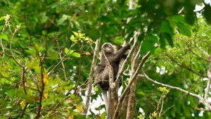 Poster for Episode 34