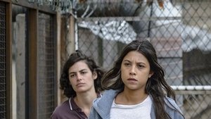 Poster for Episode 1