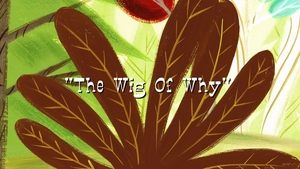 Poster for The Wig of Why