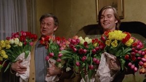 Poster for Be my tulip