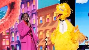 Poster for Sesame Street Night