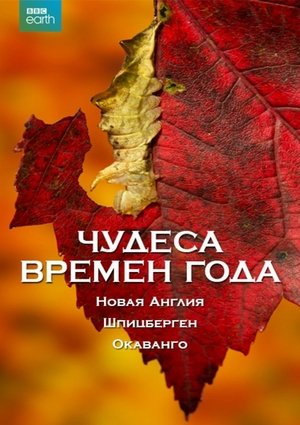 Чудеса времён года