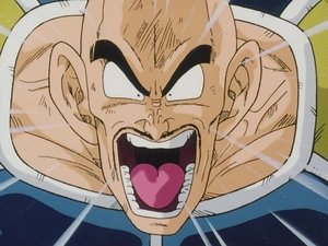 Poster for Nappa's Rampage