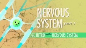 Poster for The Nervous System, Part 1