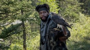 Poster for Ducks and Falcons