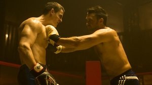 Poster for Fights
