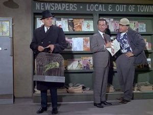 Poster for Perils in a Pet Shop