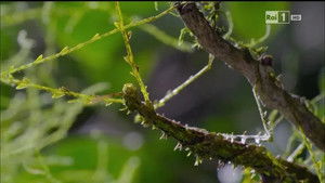 Poster for Episode 1 Poster for Episode 1