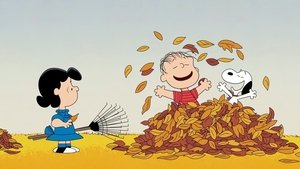 Poster for Jump Into Fall