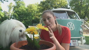 Poster for Episode 43