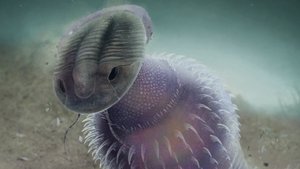 Poster for How Worm Holes Ended Wormworld