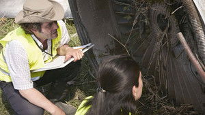 Poster for Deadly Delay