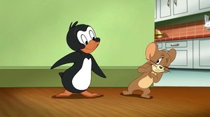 Poster for Adventures in Penguin Sitting